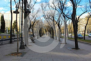 Sidewalk in a Madrid Park photo