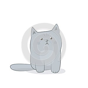 Disgruntled cat icon