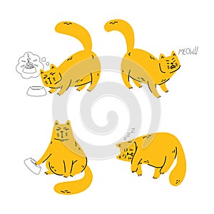 Disgruntled cat wonders where his food is, meows, demands his food, sleeps. Set of pet vector illustration isolated on white