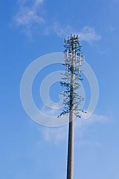 Disguised mobile phone tower photo