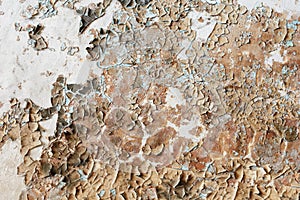 Disgusting old paint on wall of the destroyed building