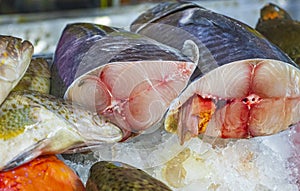 Disgusting Thai seafood bloody fish Bangrak market Koh Samui Thailand