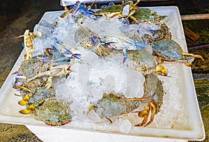 Disgusting Thai seafood like crabs Bangrak market Koh Samui Thailand
