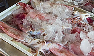 Disgusting Thai seafood like squid Bangrak market Koh Samui Thailand