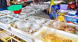 Disgusting Thai seafood mussels shrimps Bangrak market Koh Samui Thailand