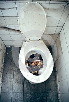 Disgusting toilet photo