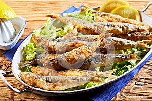 Dish of fried sardines, pilchards or anchovies