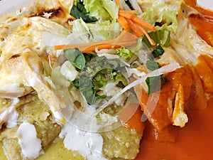 dish with chilaquiles in green and red sauce, typical mexican food with a hot flavor