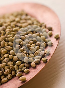 Dish of Coriander Seeds