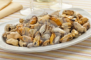 Dish with fresh cooked mussels