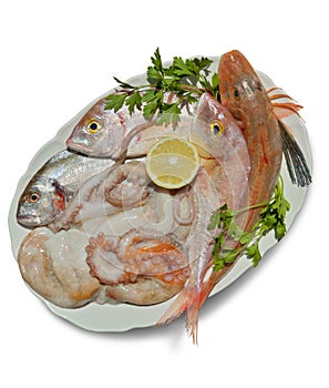 Dish of fresh fish