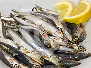 Dish with fresh little sardines just fished and lemon