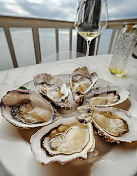 Dish of oysters, a bivalve seafood, on a table by a window photo