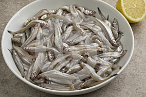 Dish with fresh smelt fishes