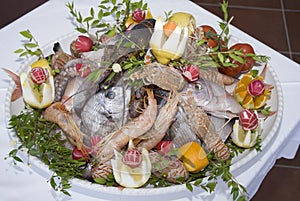 A dish full of sea food