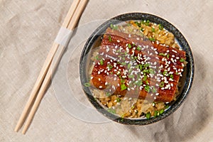 A dish of grill Japanese eel with rice.