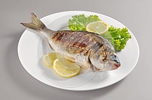 Dish with grilled fish gilthead bream photo