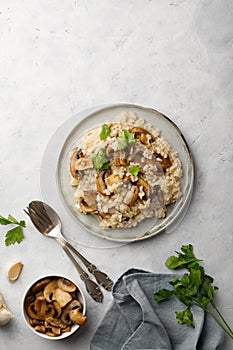 A dish of Italian cuisine - risotto from rice and mushrooms.