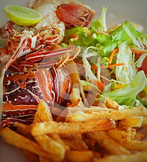 Dish - lobster with vegetables