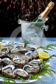 A dish with oysters on a table with festive decor and champagne botle. Christmas celebration. Close-up.