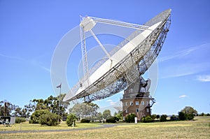 The Dish