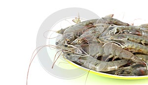 Dish of raw prawn prepare for cooking on white background