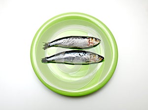 Dish with sardines