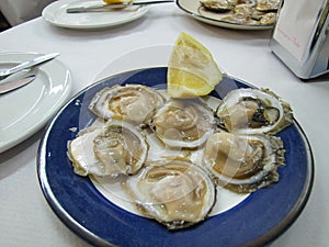 dish of scallops. Shells in food.