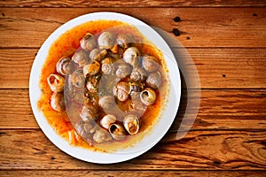 Dish of snails prepared at spanish style