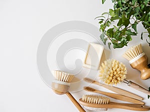 Dish washing brushes, bamboo toothbrushes and green houseplant. Sustainable lifestyle zero waste concept. Clean without waste. No