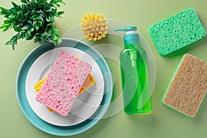 Dish washing liquid soap bottle with natural sponges and brush on green background