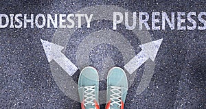 Dishonesty and pureness as different choices in life - pictured as words Dishonesty, pureness on a road to symbolize making