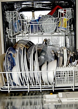 Dishwasher clean portrait