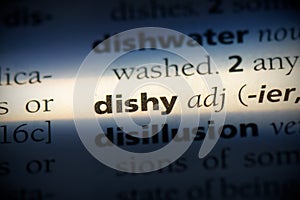 Dishy