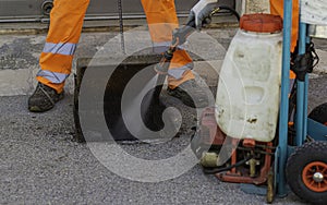 Disinfestation cockroaches in the sewer system