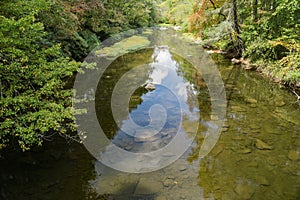 Dismal Creek, Virginia, USA