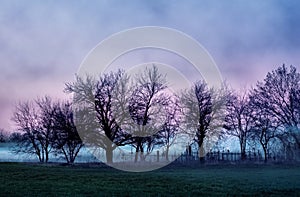 Dismal landscape with old cemetery