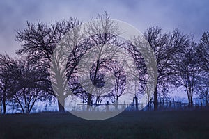 Dismal landscape with old cemetery