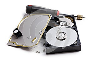 Dismanteled hard disk and screwdriver