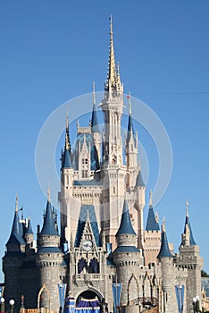 Disney Castle