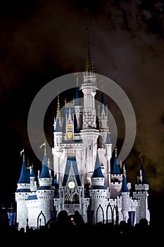 Disney Castle crowd at night