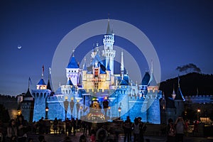 Disney castle