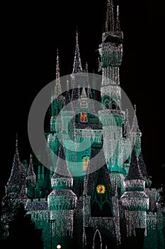 Disney Castle at Night