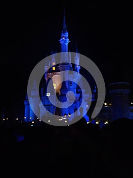 Disney castle night magic kingdom
