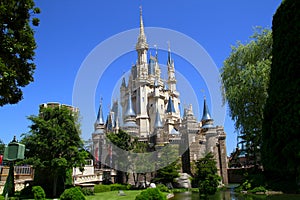 Disney Castle at Tokyo Disneyland