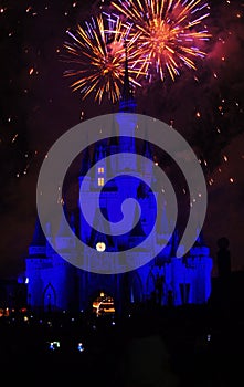 Disney Magic Kingdom Fireworks