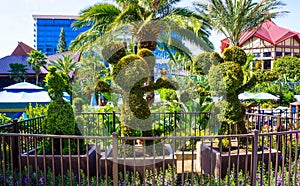 Disney topiary garden landscape