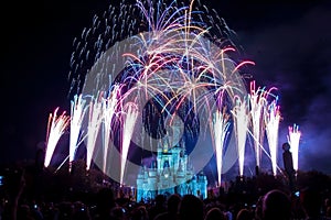 Disney World Castle Fireworks