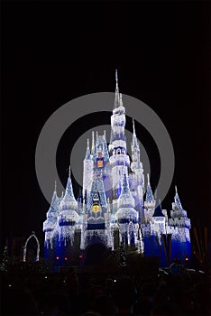 Disney World Magic Kingdom Castle