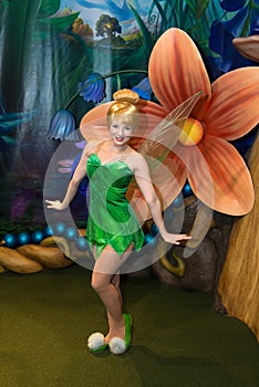 Disney World Tinkerbell Magic Kingdom
